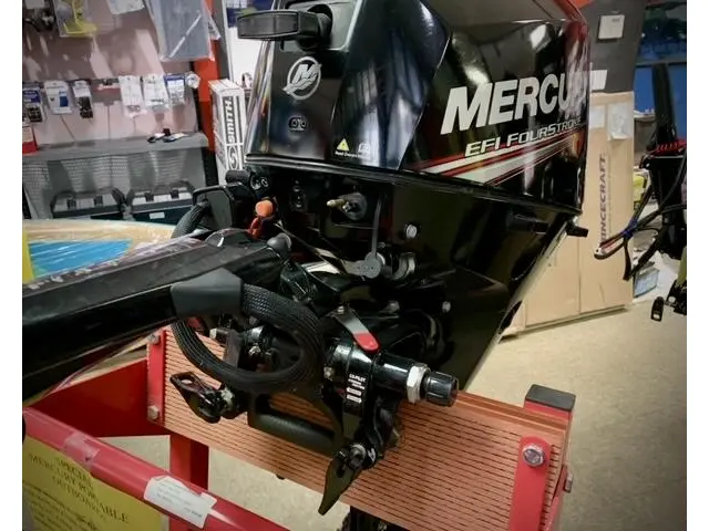 2020 Mercury 15HP EFI FOURSTROKE