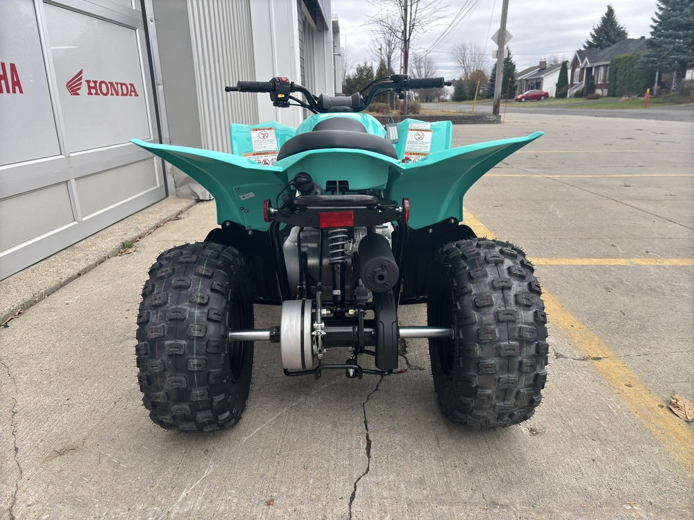 2025 Yamaha Yfz50 alt