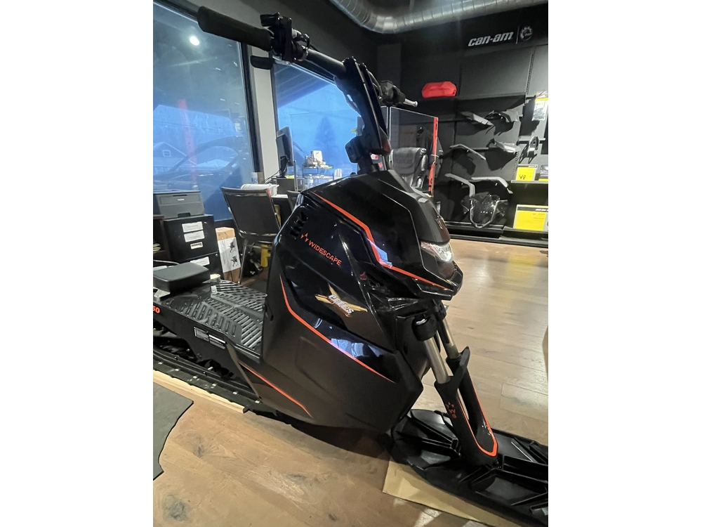 2023 Widescape Ws250 alt
