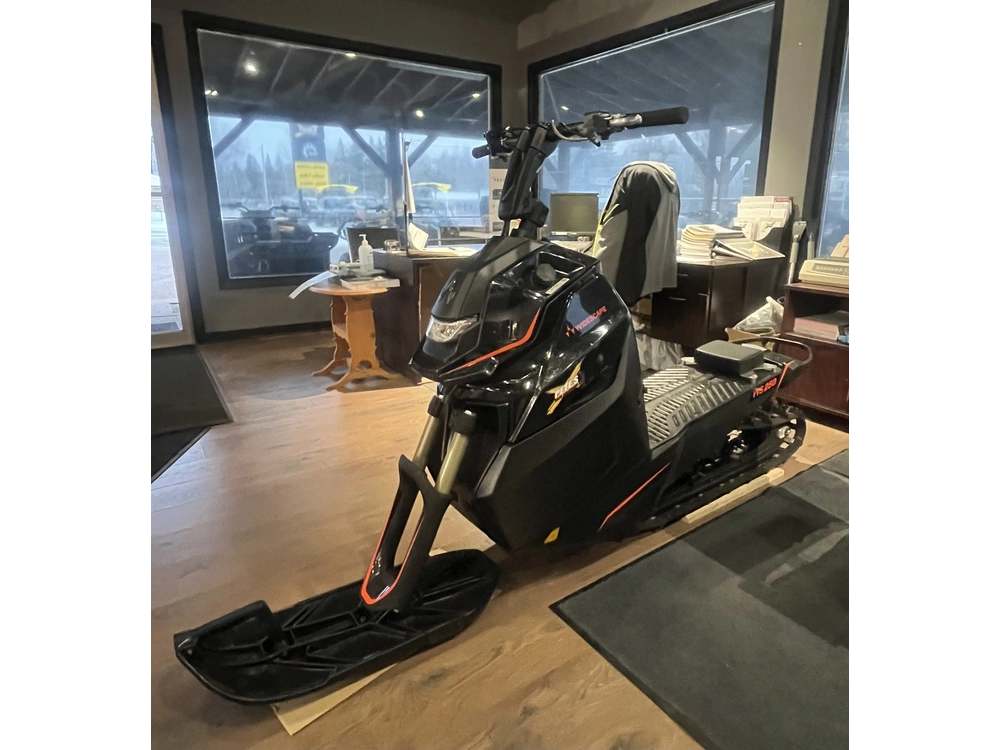 2023 Widescape Ws250 alt