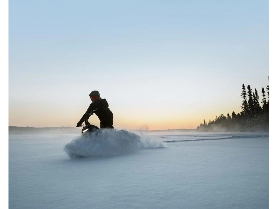 Widescape Ws 250 2024 alt