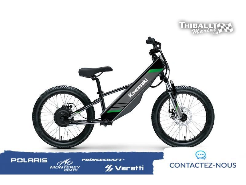 2025 Kawasaki Elektrode 20 alt