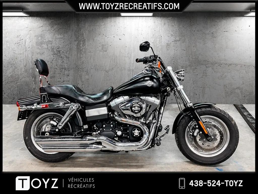 2009 Harley-Davidson FAT BOB FXDF