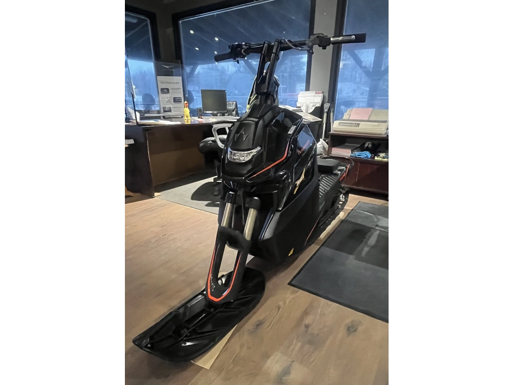 2023 Widescape Ws250 alt