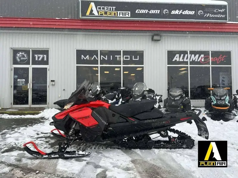 2019 Ski-Doo Renegade Enduro E 900 ACE Roug