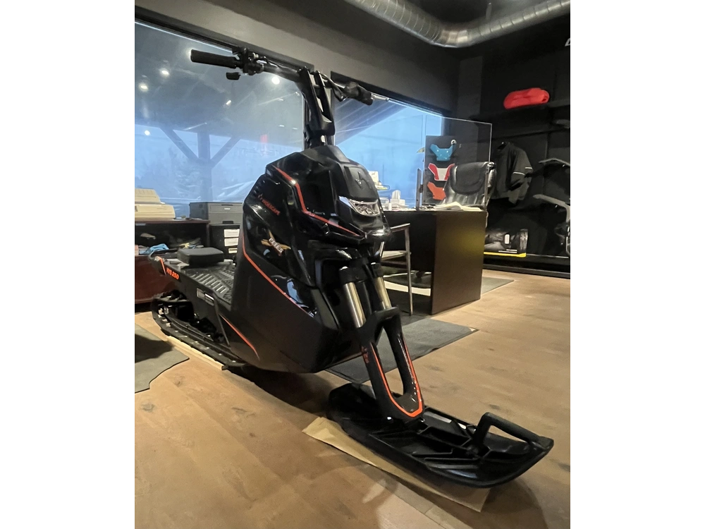 2023 Widescape Ws250 alt