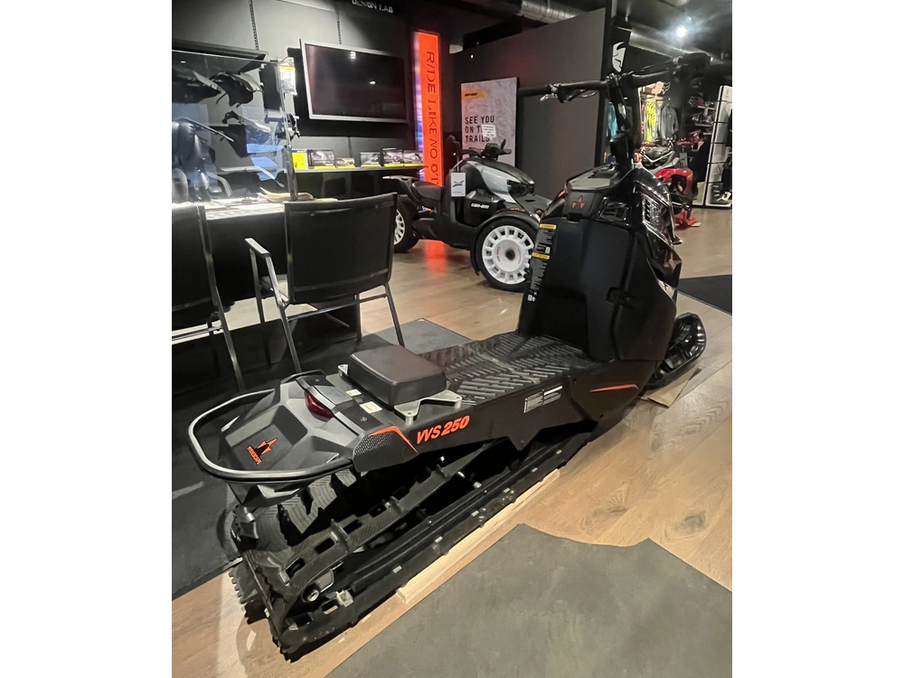 2023 Widescape Ws250 alt