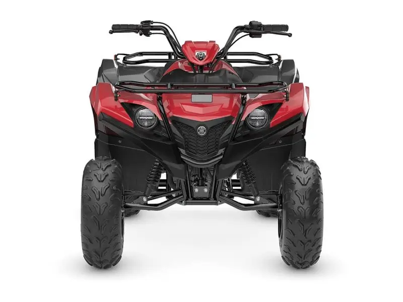 2025 Yamaha Grizzly 110