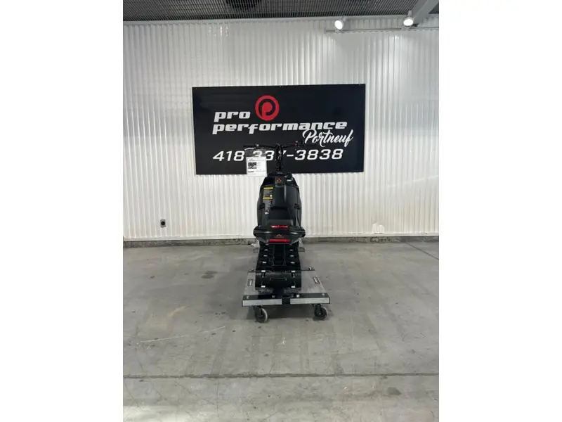 2024 Widescape WS 250