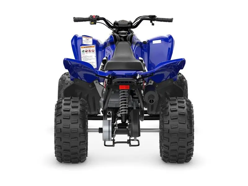 2025 Yamaha Raptor 110