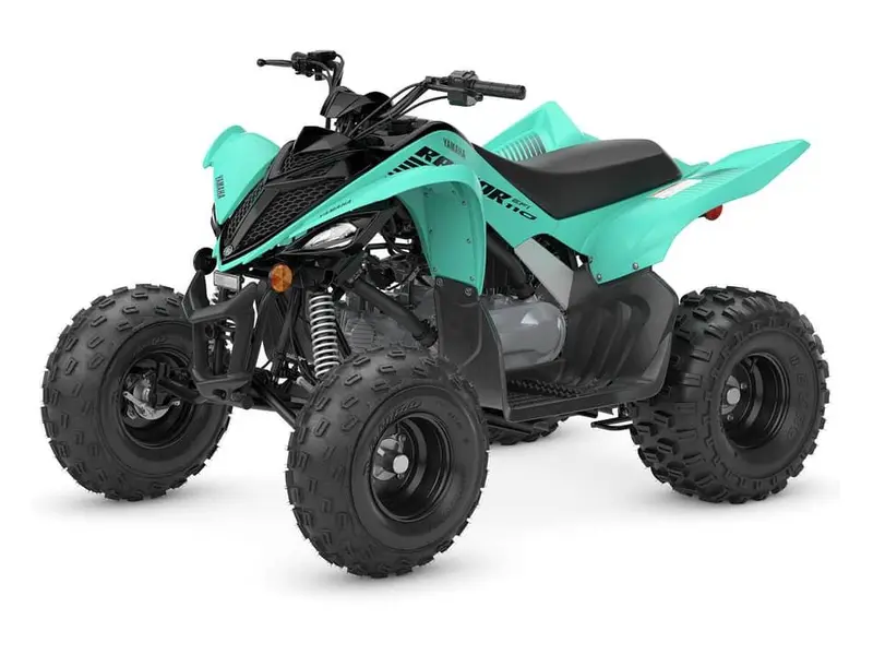 2025 Yamaha Raptor 110 RESERVE PAR TELEPHONE