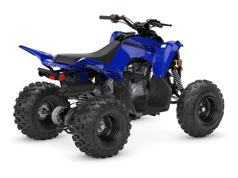 2025 Yamaha Raptor 110