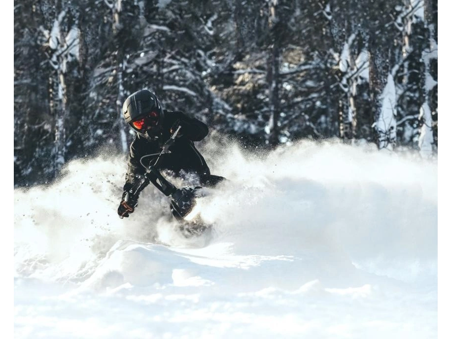 Widescape Ws 250 2024 alt