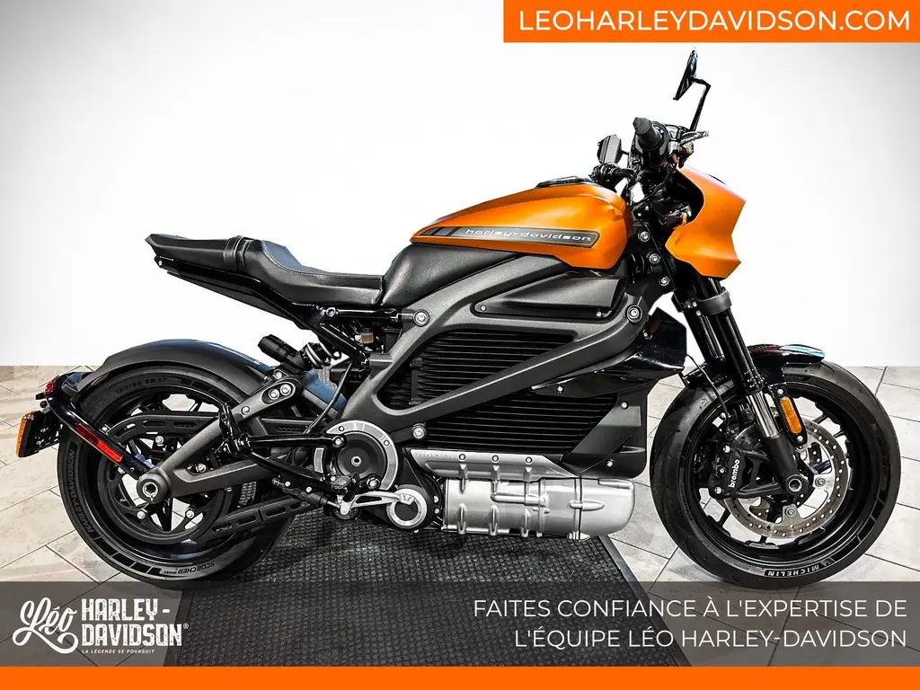 Harley-Davidson ELW 2020 - LiveWire