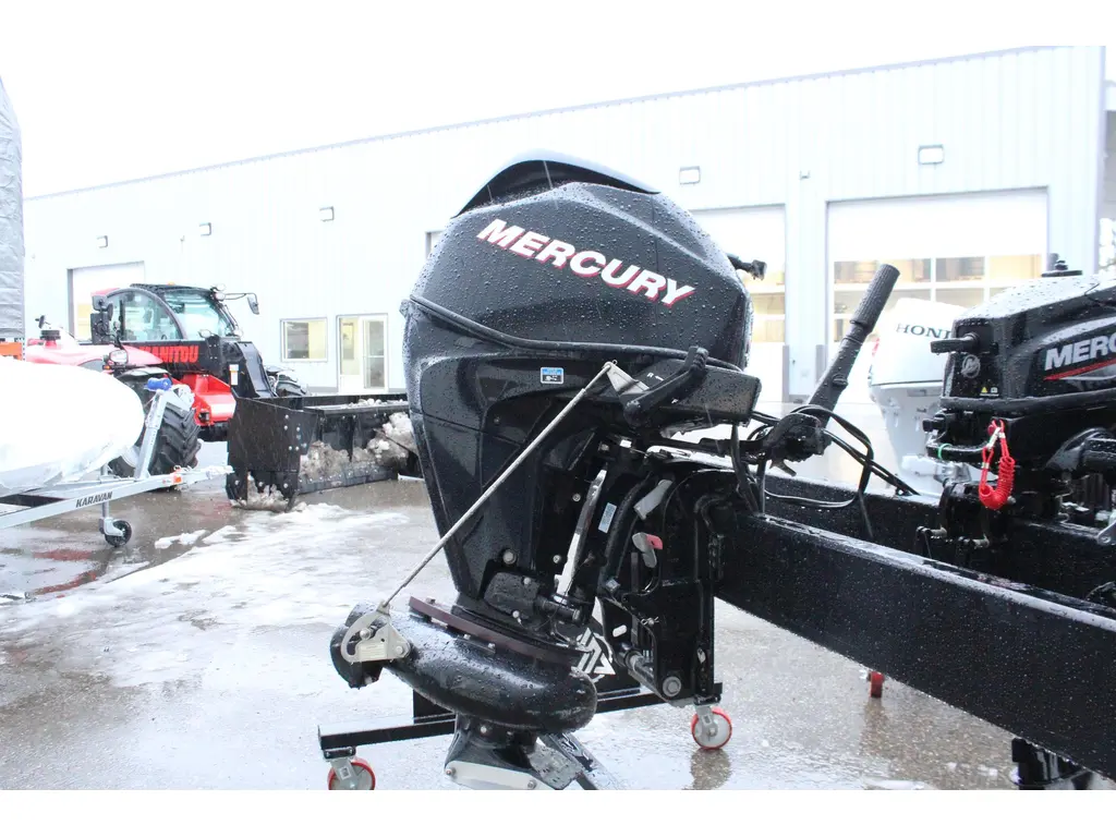 2015 Mercury JET 25HP