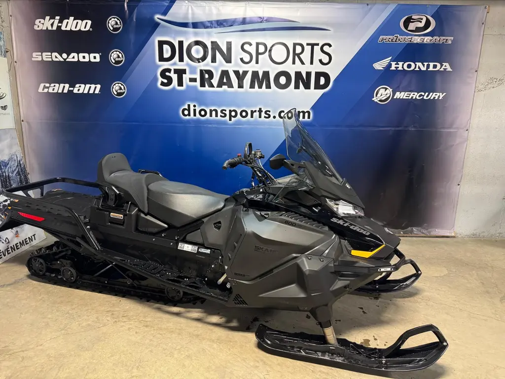 Ski-Doo SKANDIC WT LE 20 600 ACE 2024