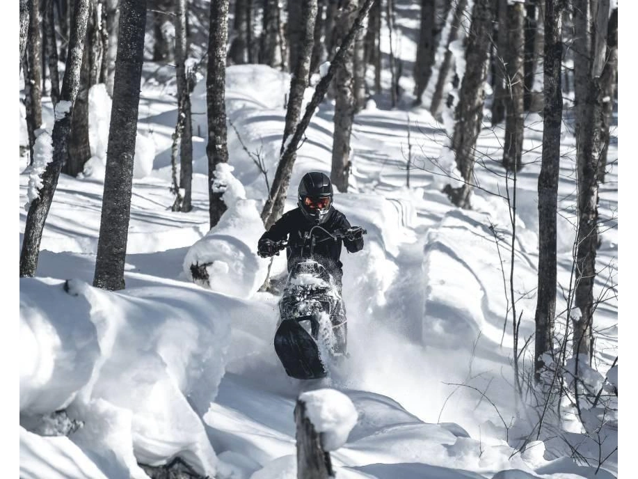 Widescape Ws 250 2024 alt