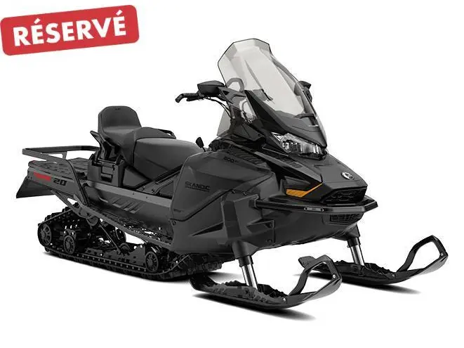 Ski-Doo SKANDIC LE 20' 900 ACE Silent Cobra 1.5' E.S.  2024