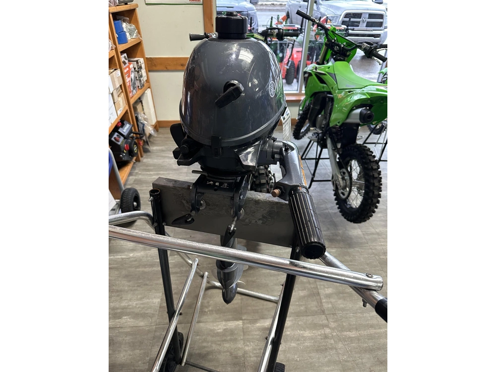 Yamaha F2.5smhb 2020 alt