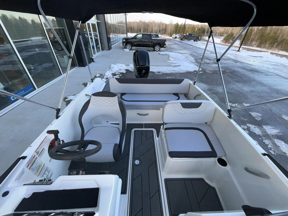 Bayliner M19 Element 2024 alt