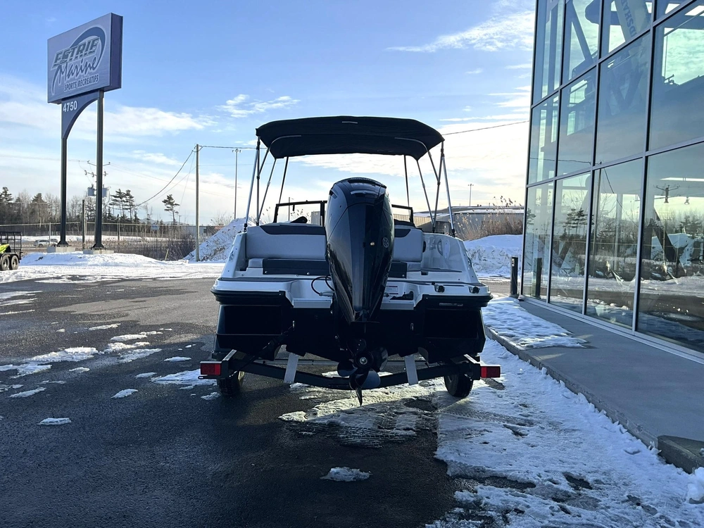 Bayliner M19 Element 2024 alt
