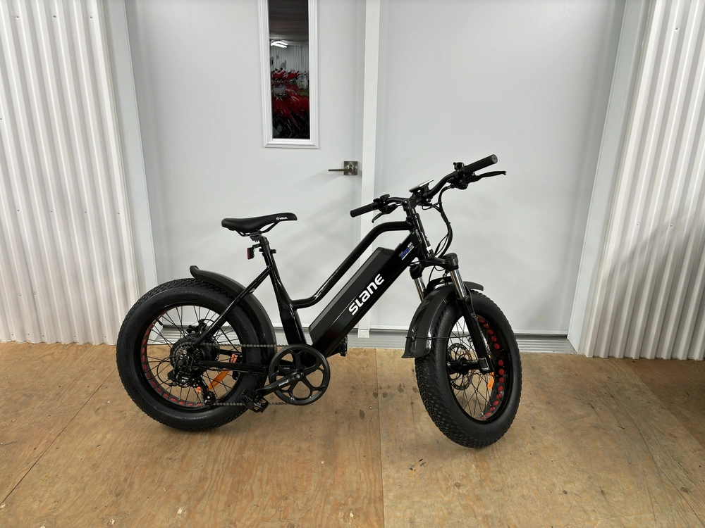 2024 Slane Santiago Mini Vélo Électrique alt