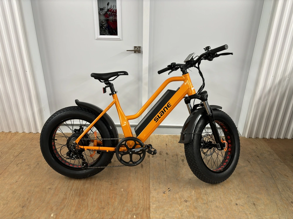 2024 Slane Santiago Mini Vélo Électrique alt
