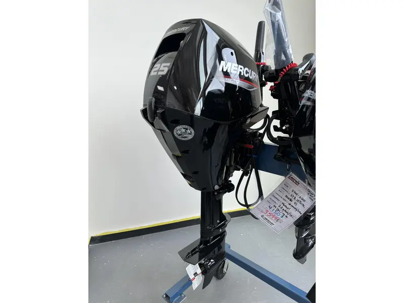 2022 Mercury 25 ELH
