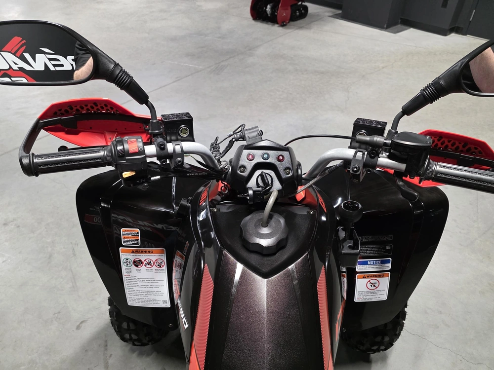 Can-am Ds 250 2023 alt