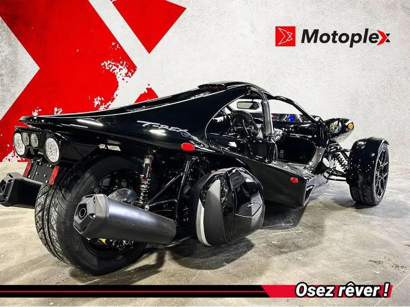 2025 Campagna T-Rex