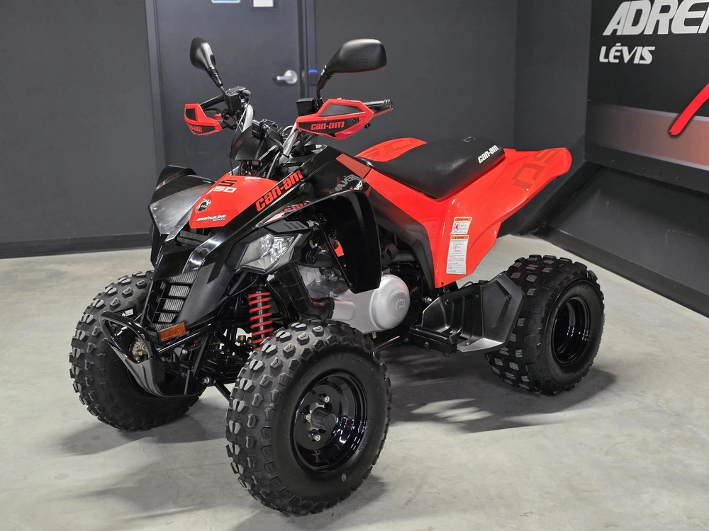 Can-am Ds 250 2023 alt
