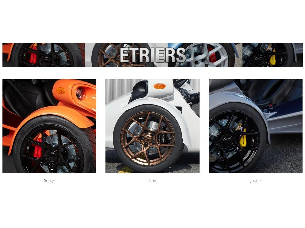 Campagna T-rex Rr Customize/ Personaliser Votre T-rez Commande Spécial 2025 alt