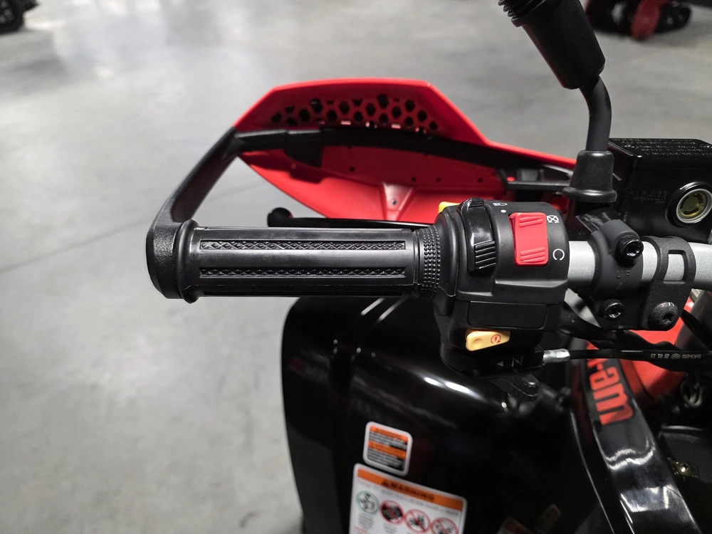 Can-am Ds 250 2023 alt