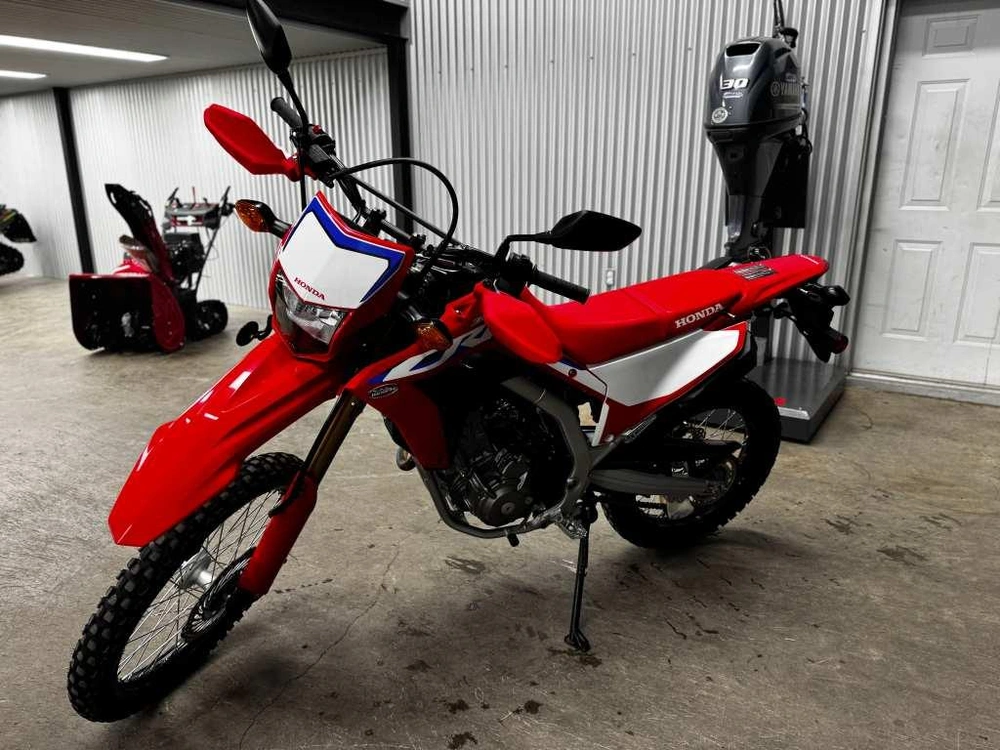 Honda Crf300l Crf 300 2023 alt