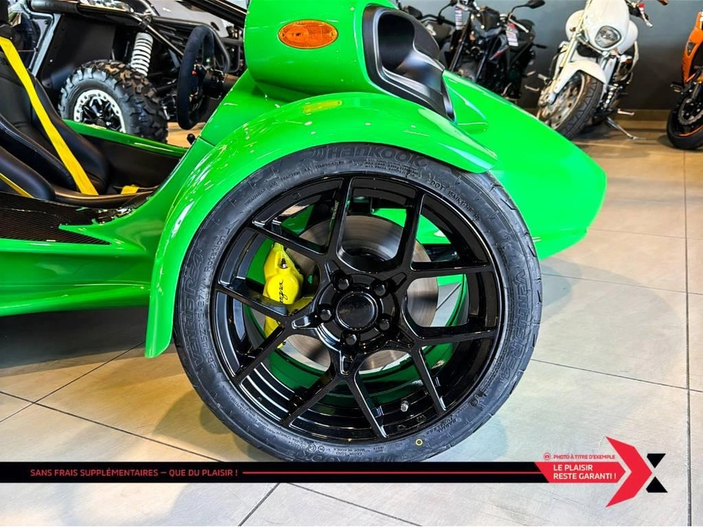 Campagna T-rex Rr 2025 alt