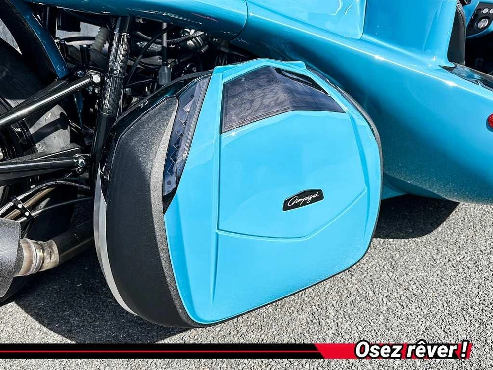 Campagna T-rex 2026 alt