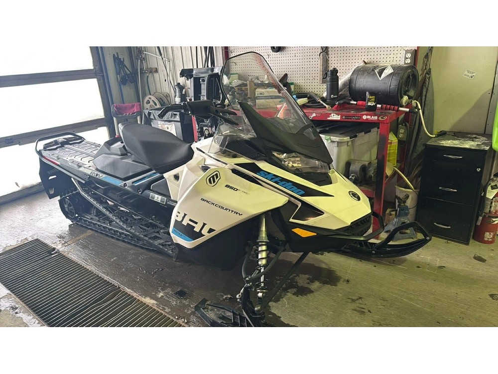 Ski-doo Backcountry 850 2019 alt