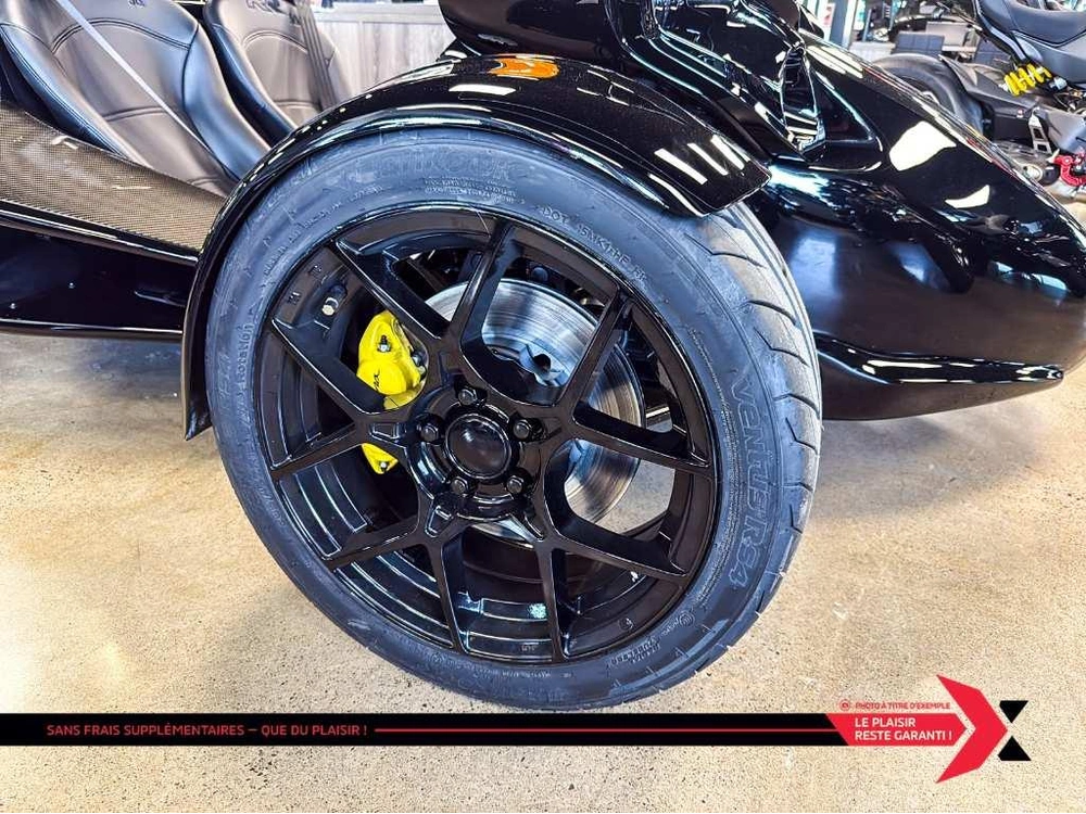 Campagna T-rex 2025 alt