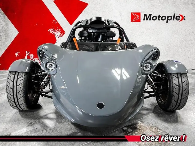 2025 Campagna T-Rex