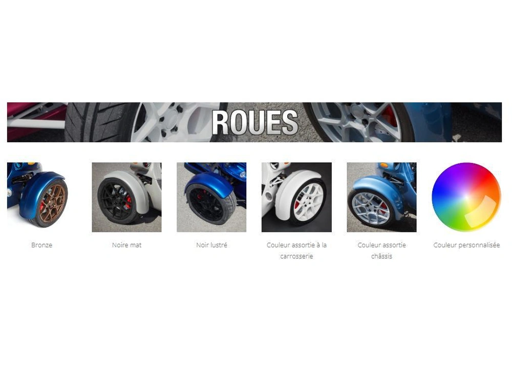 Campagna T-rex Rr Customize/ Personaliser Votre T-rez Commande Spécial 2025 alt