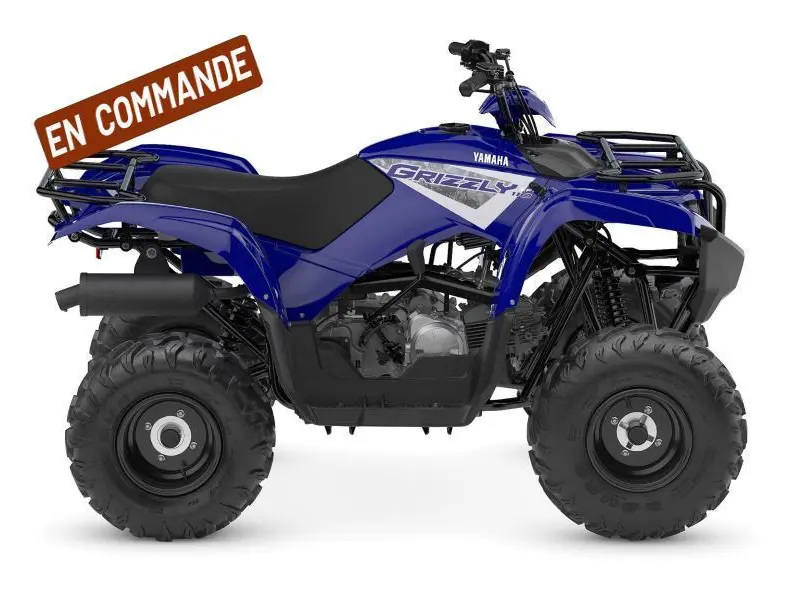 2025 Yamaha Grizzly 110