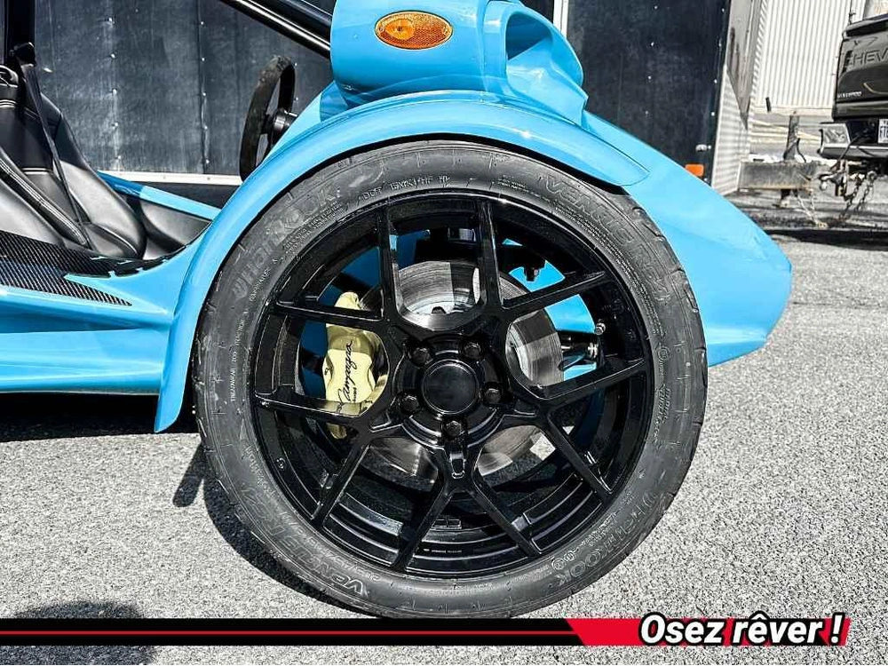 Campagna T-rex 2026 alt