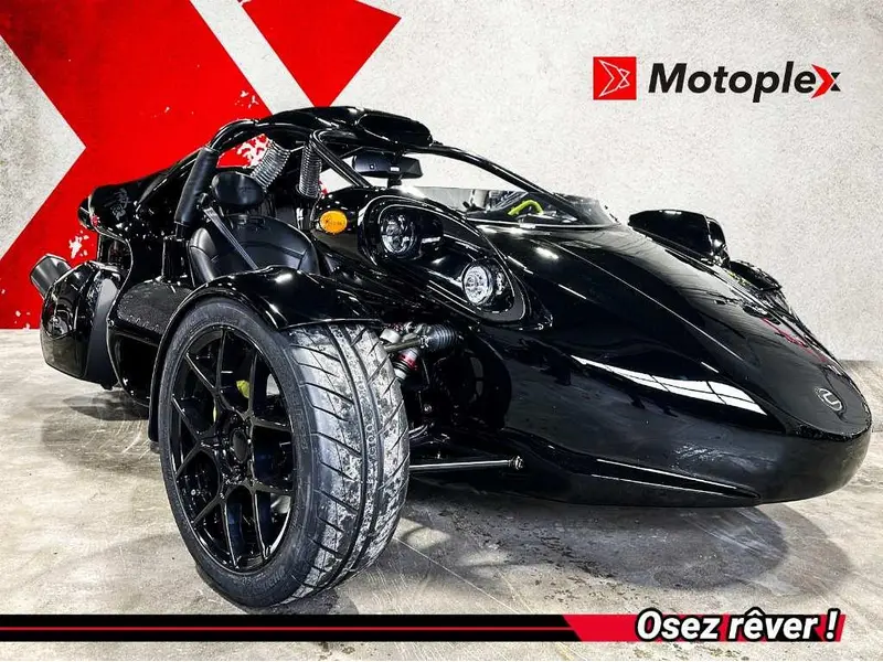 2025 Campagna T-Rex