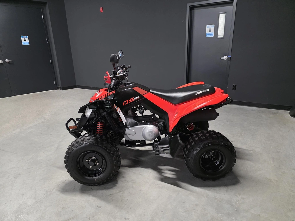 Can-am Ds 250 2023 alt