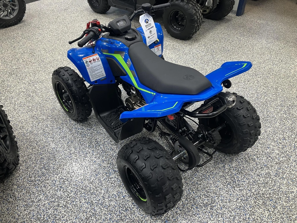 2026 Cfmoto Cforce 110 Classic alt