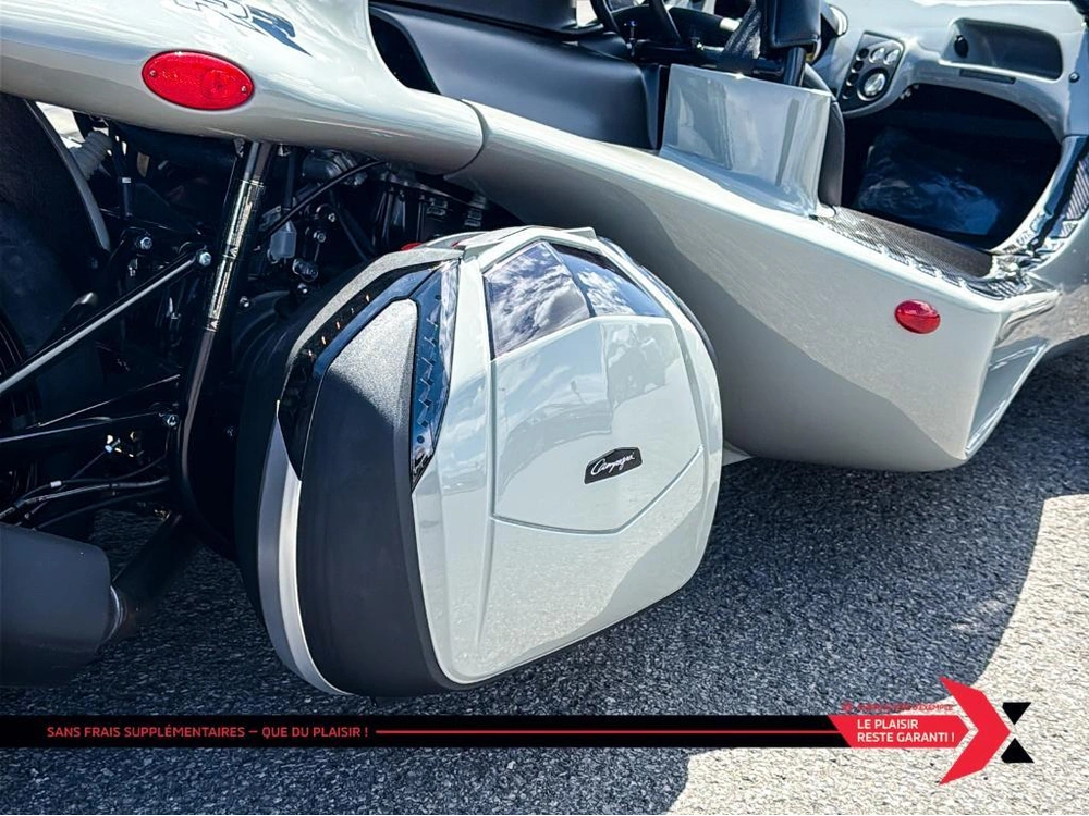 Campagna T-rex 2025 alt