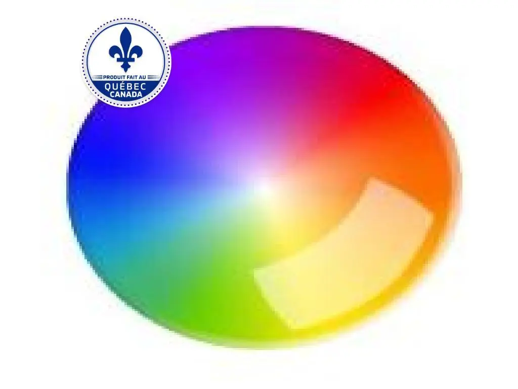 2025 Campagna T-REX RR Customize/ Personaliser votre t-rez Commande spécial