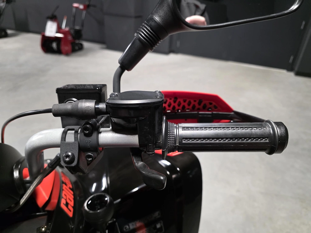 Can-am Ds 250 2023 alt