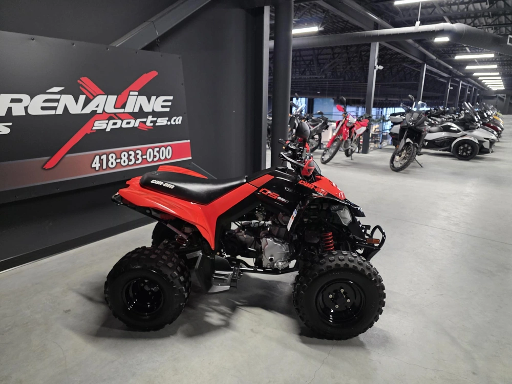 Can-am Ds 250 2023 alt