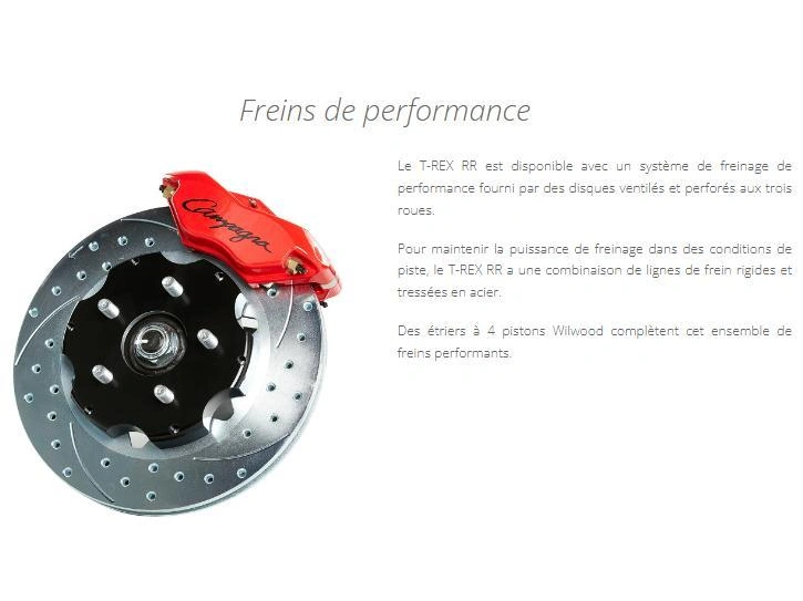 Campagna T-rex Rr Customize/ Personaliser Votre T-rez Commande Spécial 2025 alt